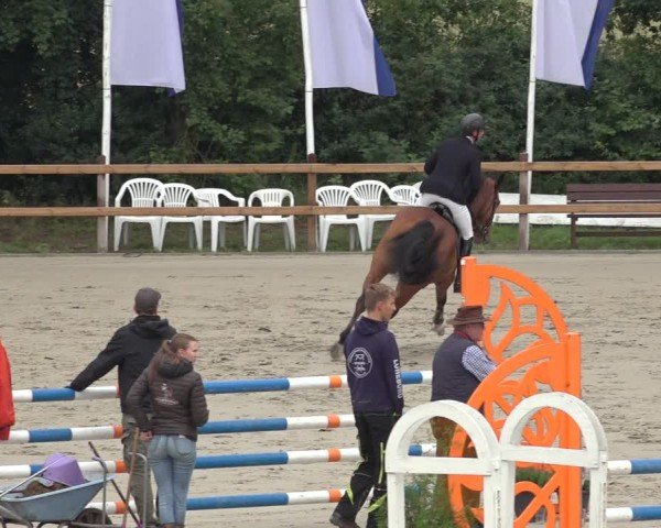 Reitturnier Scharnebeck 2024