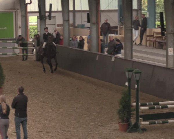 Reitturnier Legden 2021