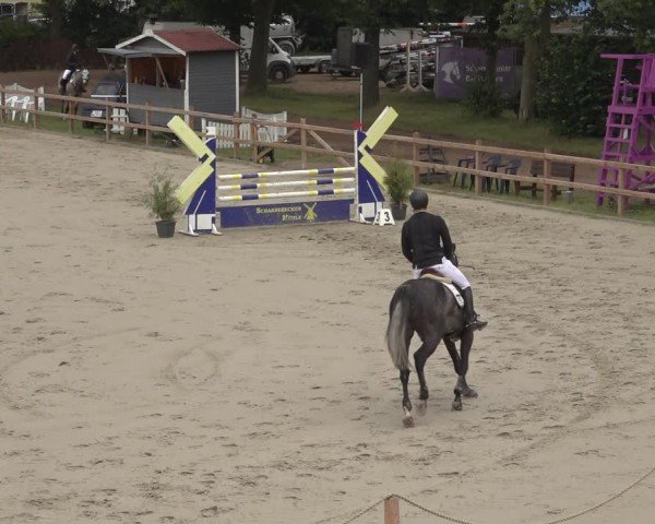 Reitturnier Scharnebeck 2024
