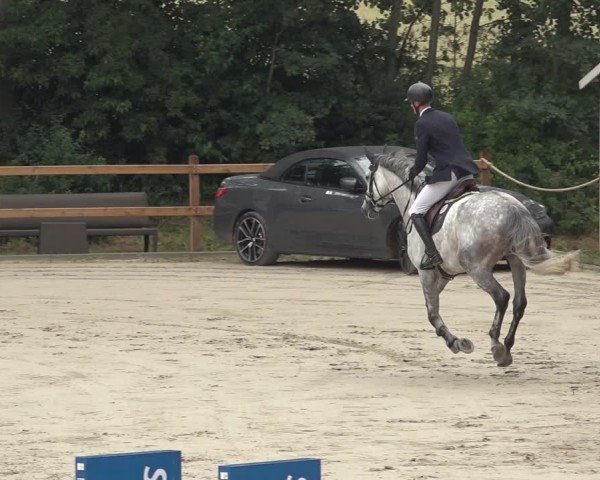 Reitturnier Scharnebeck 2024