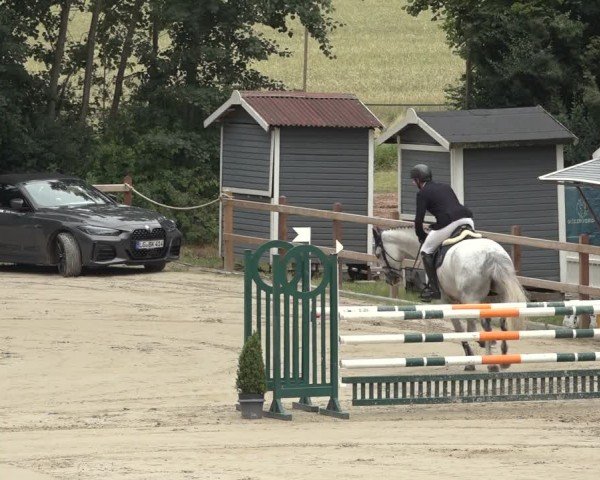 Reitturnier Scharnebeck 2024