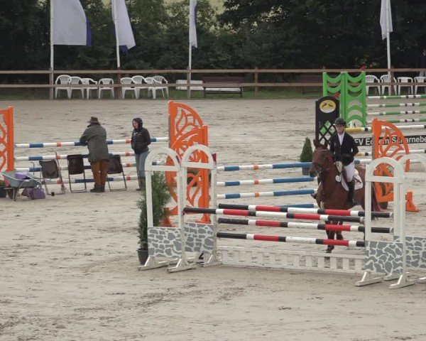 Reitturnier Scharnebeck 2024