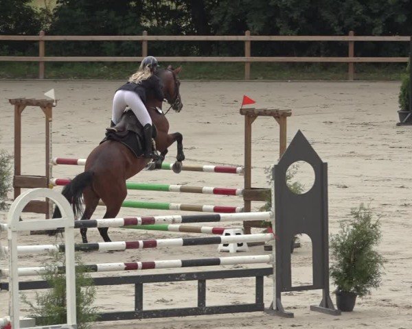 Reitturnier Scharnebeck 2024