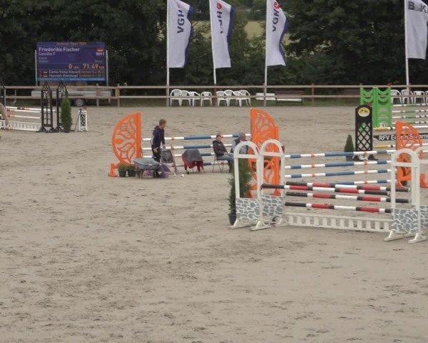 Reitturnier Scharnebeck 2024