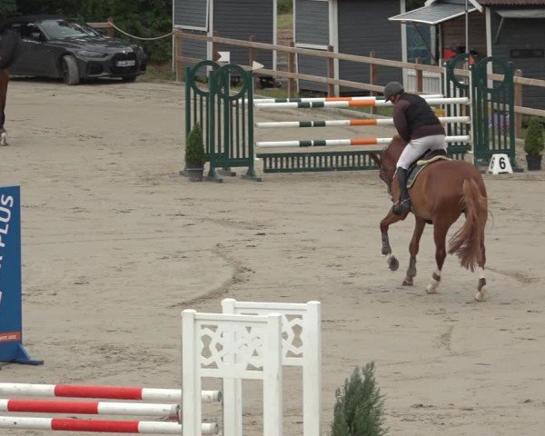 Reitturnier Scharnebeck 2024