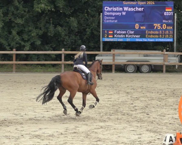 Reitturnier Scharnebeck 2024