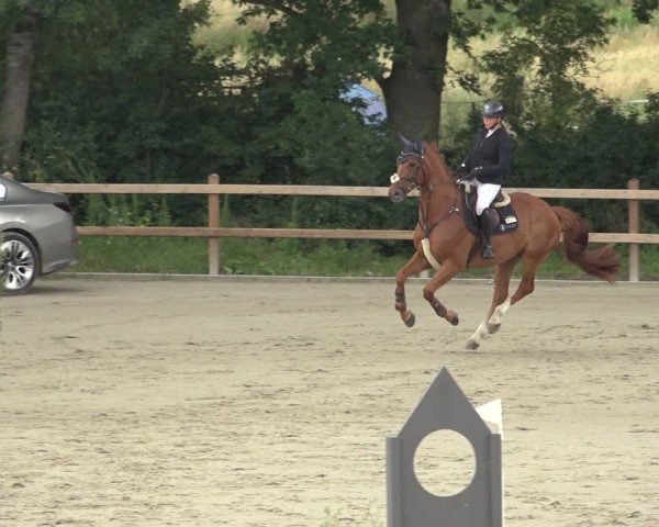 Reitturnier Scharnebeck 2024