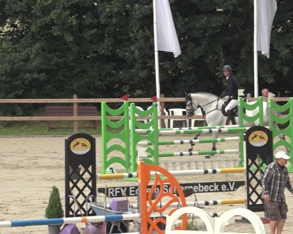 Reitturnier Scharnebeck 2024