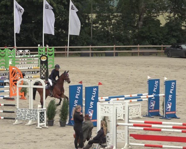 Reitturnier Scharnebeck 2024