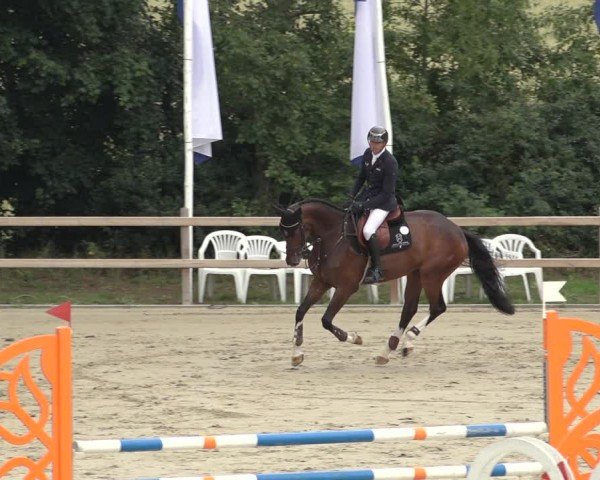 Reitturnier Scharnebeck 2024