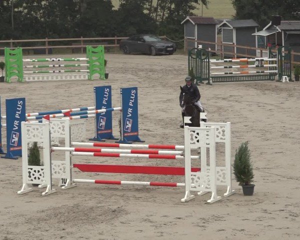 Reitturnier Scharnebeck 2024