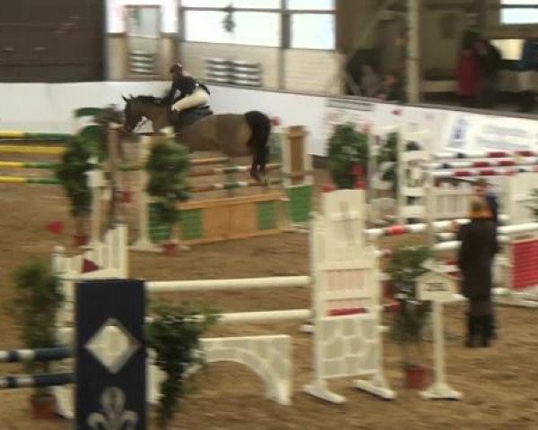 20. Winter Hallen Reit- und Springturnier RFV Alt-Marl 28.-30.12.2012