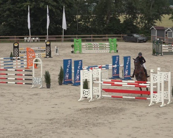 Reitturnier Scharnebeck 2024