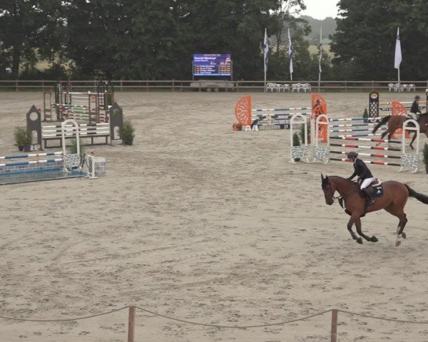 Reitturnier Scharnebeck 2024