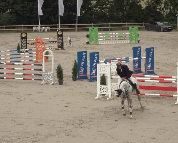 Reitturnier Scharnebeck 2024