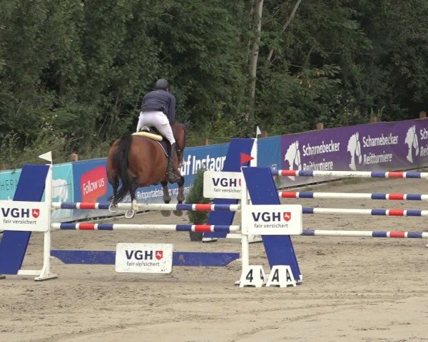 Reitturnier Scharnebeck 2024