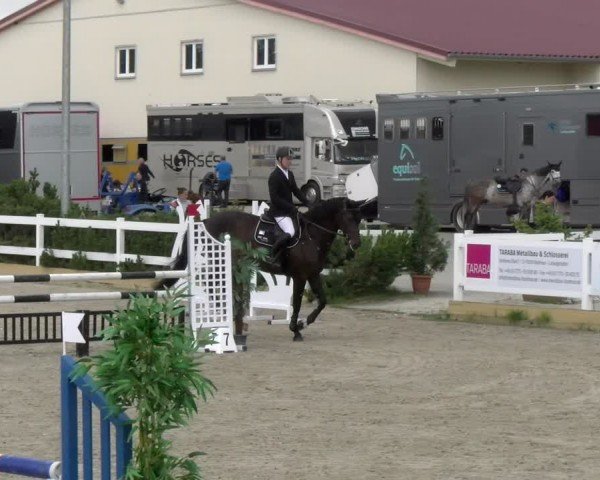 Reitturnier Sauldorf-Boll 2024