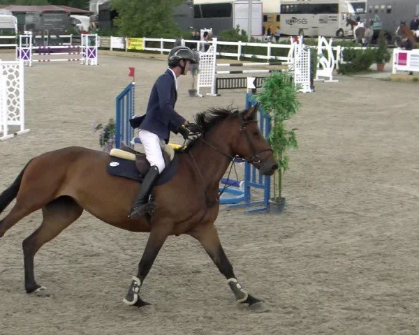 Reitturnier Sauldorf-Boll 2024