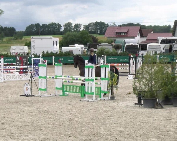 Reitturnier Sauldorf-Boll 2024