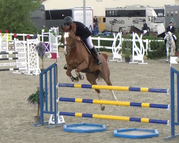 Reitturnier Sauldorf-Boll 2024
