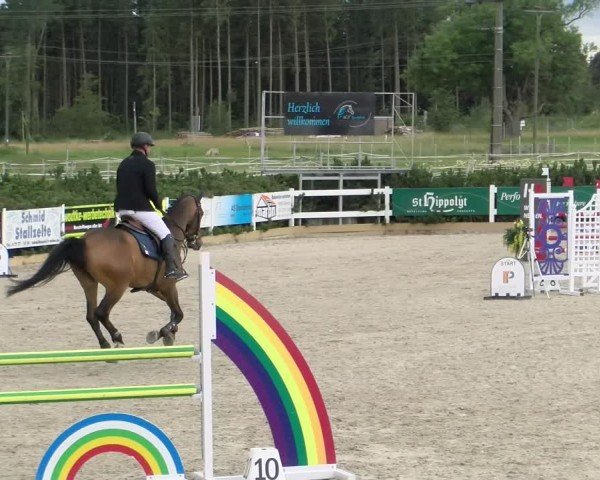 Reitturnier Sauldorf-Boll 2024