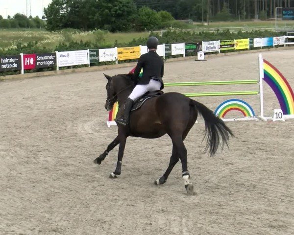 Reitturnier Sauldorf-Boll 2024