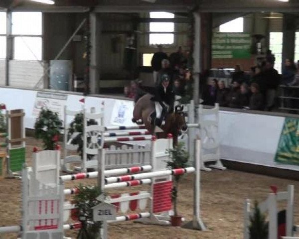 20. Winter Hallen Reit- und Springturnier RFV Alt-Marl 28.-30.12.2012