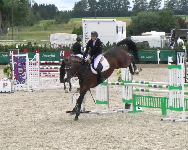 Reitturnier Sauldorf-Boll 2024