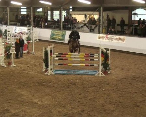 20. Winter Hallen Reit- und Springturnier RFV Alt-Marl 28.-30.12.2012