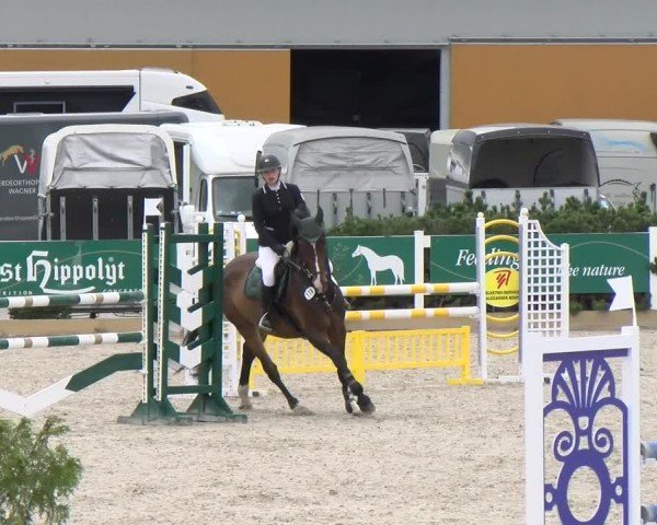 Reitturnier Sauldorf-Boll 2024