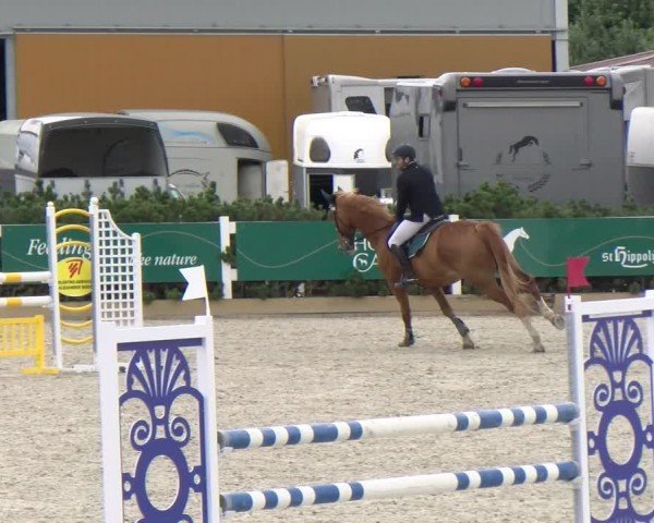 Reitturnier Sauldorf-Boll 2024