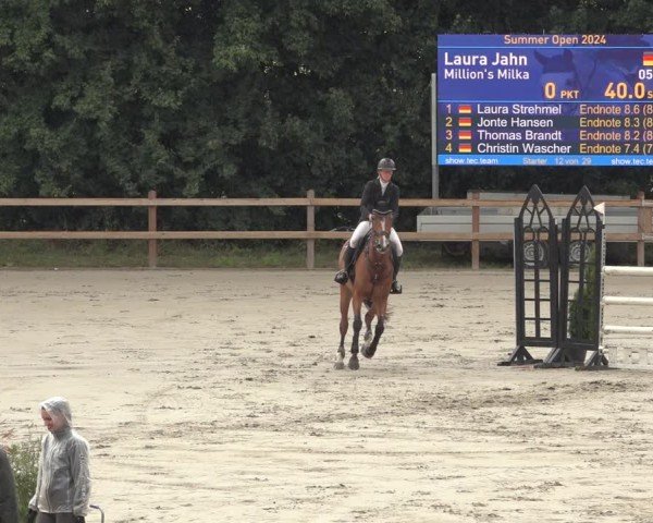 Reitturnier Scharnebeck 2024