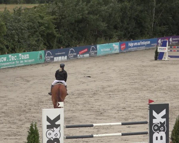 Reitturnier Scharnebeck 2024