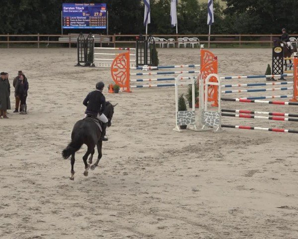Reitturnier Scharnebeck 2024