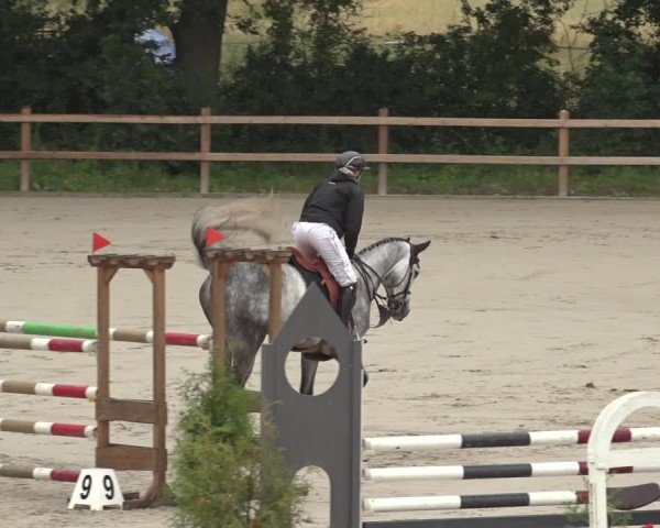 Reitturnier Scharnebeck 2024