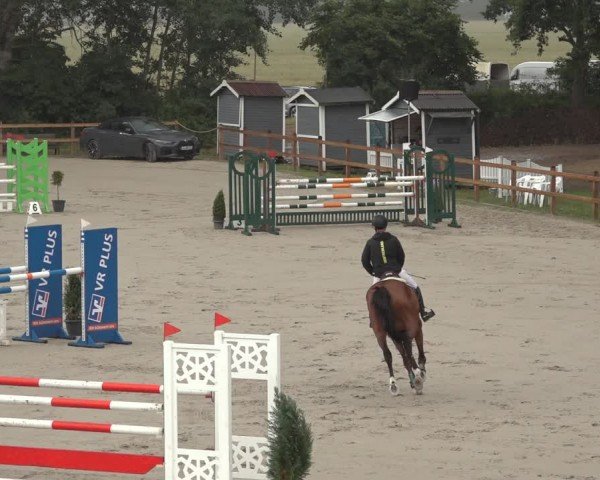 Reitturnier Scharnebeck 2024