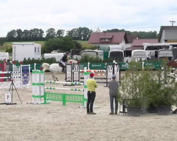 Reitturnier Sauldorf-Boll 2024