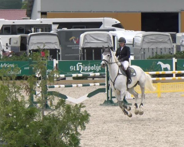 Reitturnier Sauldorf-Boll 2024
