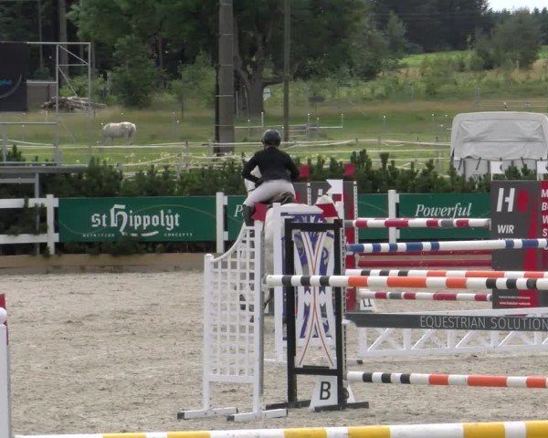 Reitturnier Sauldorf-Boll 2024