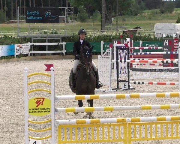 Reitturnier Sauldorf-Boll 2024