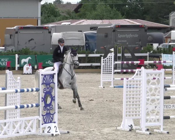 Reitturnier Sauldorf-Boll 2024