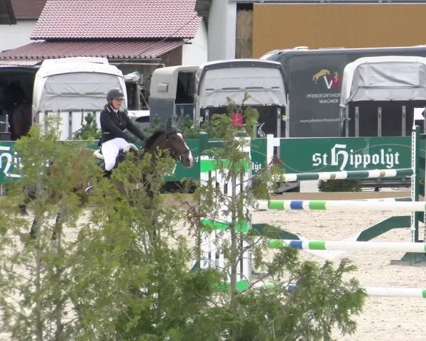 Reitturnier Sauldorf-Boll 2024