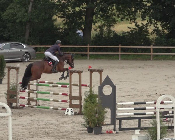 Reitturnier Scharnebeck 2024
