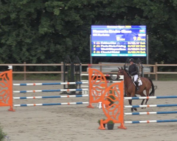 Reitturnier Scharnebeck 2024