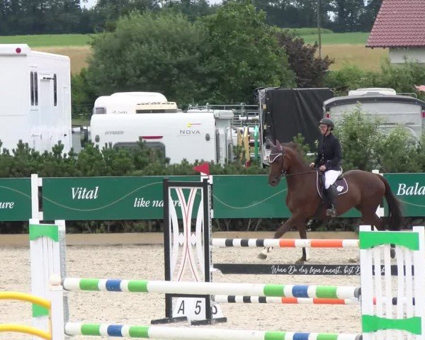Reitturnier Sauldorf-Boll 2024