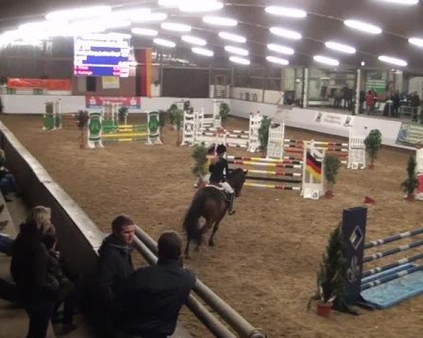 20. Winter Hallen Reit- und Springturnier RFV Alt-Marl 28.-30.12.2012