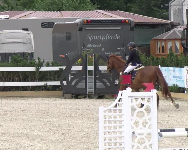 Reitturnier Sauldorf-Boll 2024