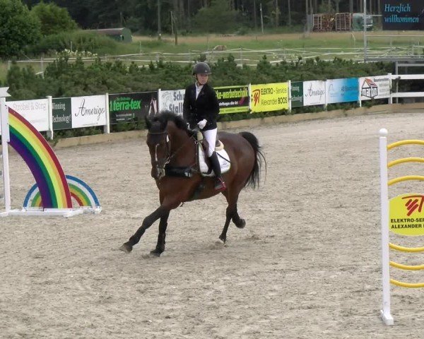 Reitturnier Sauldorf-Boll 2024