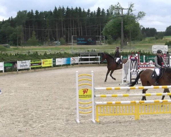 Reitturnier Sauldorf-Boll 2024