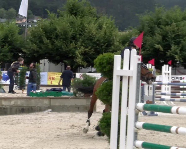 Reitturnier Balsthal 2024
